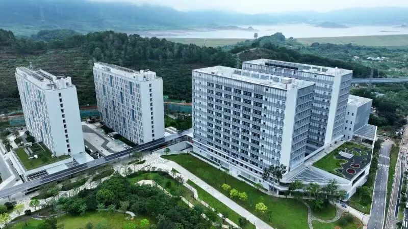 深圳新增一所大学！首批设置6个专业(图1)