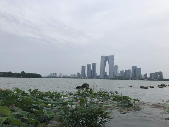 如果中国到处都是最聪明的人为什么美国要先进得多？(图1)